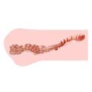 Мастурбатор Kokos Hand Love Tong-ggo