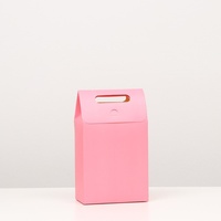Коробка-пакет Pink